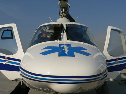 Nariz Bell 222